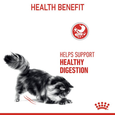 Royal Canin Digestive Care Adult – Hrană Uscată pentru Pisici cu Digestie Sensibilă – 400 g